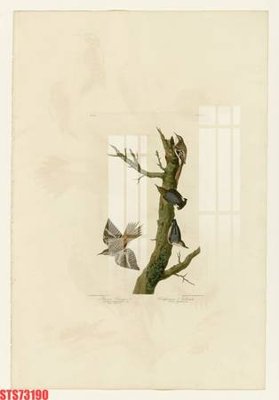 Download file gốc Tranh sơn dầu phương tây tổng hợp STS73190 (in mica) trang trí