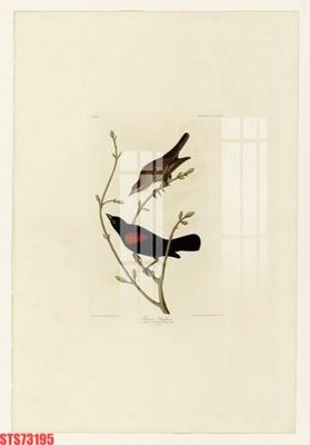 File tranh Tranh sơn dầu phương tây tổng hợp STS73195 (bản gốc) in lụa dán tường