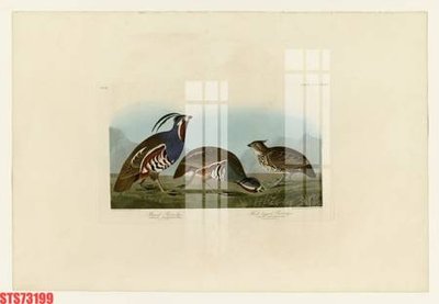 File ảnh Tranh sơn dầu phương tây tổng hợp STS73199 (gốc) in standee