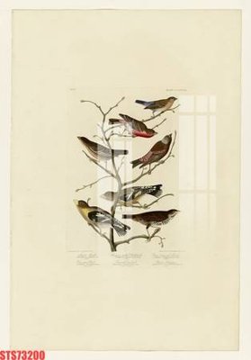 File tranh gốc Tranh sơn dầu phương tây tổng hợp STS73200 (bản đẹp) độc quyền