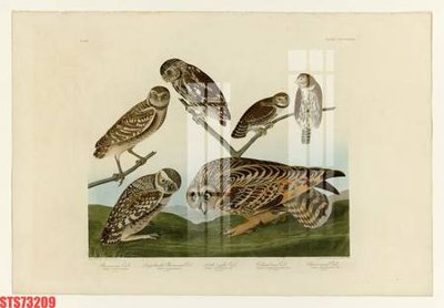 Tải file Tranh sơn dầu phương tây tổng hợp STS73209 (ảnh gốc) file AI/EPS