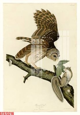 File in trần Tranh sơn dầu phương tây tổng hợp STS73216 (bản gốc) 5D