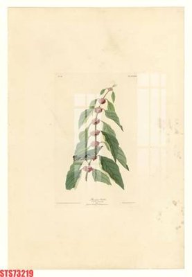 File tranh Tranh sơn dầu phương tây tổng hợp STS73219 (gốc) chủ đề trừu tượng