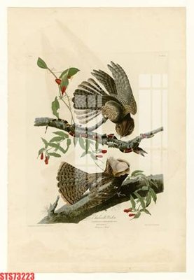 File PSD Tranh sơn dầu phương tây tổng hợp STS73223 (bản gốc) đã tách nền