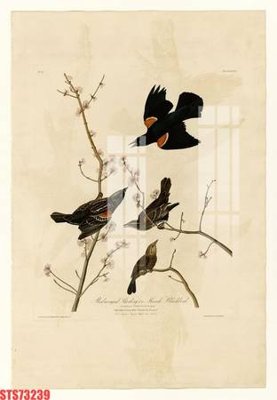 Tải file Tranh sơn dầu phương tây tổng hợp STS73239 (ảnh gốc) file AI/EPS