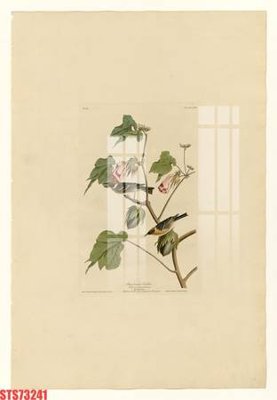 File in ấn Tranh sơn dầu phương tây tổng hợp STS73241 (bản gốc) từ file gốc