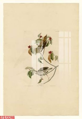 Tải về file gốc Tranh sơn dầu phương tây tổng hợp STS73246 (chuẩn in ấn)