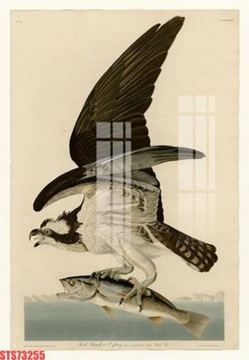 File in trần Tranh sơn dầu phương tây tổng hợp STS73255 (bản gốc) 5D