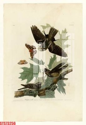 File tranh gốc Tranh sơn dầu phương tây tổng hợp STS73256 (sắc nét từng chi tiết)