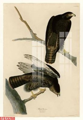 File gốc Tranh sơn dầu phương tây tổng hợp STS73260 (in mica) cắt laser