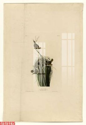 File PSD Tranh sơn dầu phương tây tổng hợp STS73275 (nguyên gốc) chất lượng cao