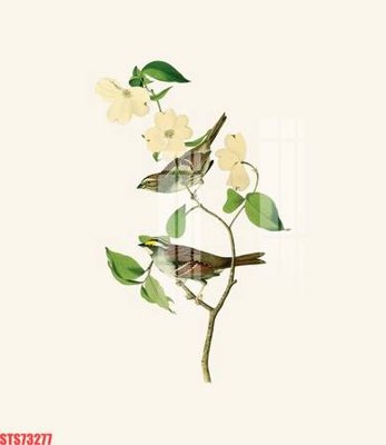 File in ấn Tranh sơn dầu phương tây tổng hợp STS73277 (bản gốc) sắc nét