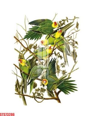 Hình ảnh file gốc in lụa Tranh sơn dầu phương tây tổng hợp STS73286