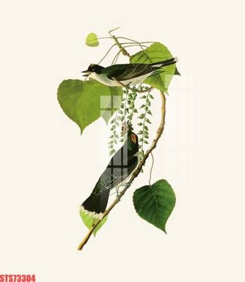 File tranh Tranh sơn dầu phương tây tổng hợp STS73304 (ảnh gốc) in trần 3D