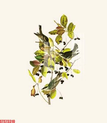 File tranh Tranh sơn dầu phương tây tổng hợp STS73310 (ảnh gốc) độ nét vượt trội