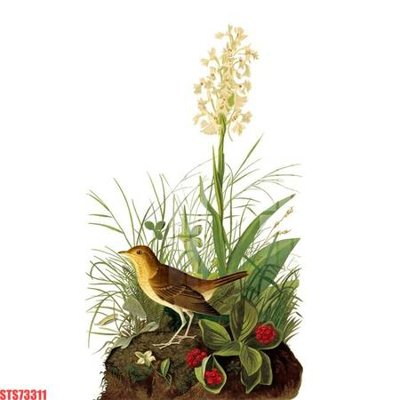 Tải file gốc Tranh sơn dầu phương tây tổng hợp STS73311 (bản PSD) gốc