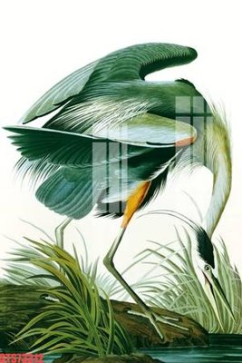 File PSD Tranh sơn dầu phương tây tổng hợp STS73312 (chất lượng in ấn)