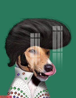 File gốc Tranh sơn dầu phương tây tổng hợp STS73591 (phong cách) châu Âu