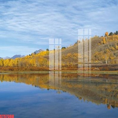 File gốc Tranh sơn dầu phương tây tổng hợp STS7388 (in tráng gương) nghệ thuật