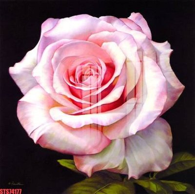 File tranh Tranh sơn dầu phương tây tổng hợp STS74177 (gốc) in backlit film