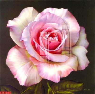 File in trần Tranh sơn dầu phương tây tổng hợp STS74189 (bản gốc) đại dương