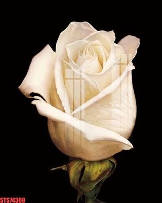 File PSD Tranh sơn dầu phương tây tổng hợp STS74369 (bản gốc) dễ dàng edit