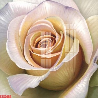 File PSD Tranh sơn dầu phương tây tổng hợp STS7462 (bản gốc) đã tách nền