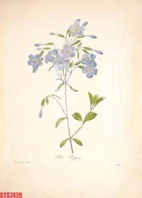 Tải file gốc Tranh sơn dầu phương tây tổng hợp STS7479 (in tráng gương) 3DFile gốc Tranh sơn dầu phương tây tổng hợp STS7479 (sẵn sàng in) chất lượng cao