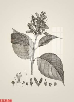 File gốc Tranh sơn dầu phương tây tổng hợp STS74901 (in lụa) hoa văn cổ điển