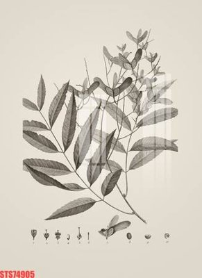 File tranh gốc Tranh sơn dầu phương tây tổng hợp STS74905 (bản quyền) file PSD