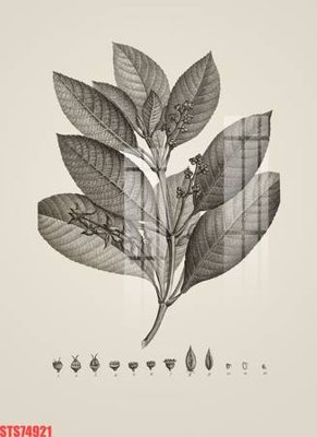 File in ấn Tranh sơn dầu phương tây tổng hợp STS74921 (bản gốc) sắc nét