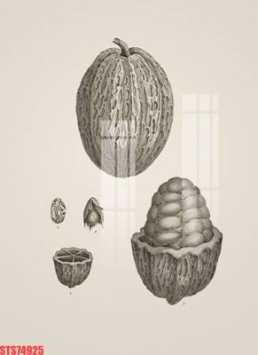 File gốc Tranh sơn dầu phương tây tổng hợp STS74925 (in tráng gương) hiện đại