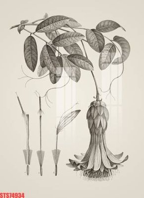 Download file Tranh sơn dầu phương tây tổng hợp STS74934 (chuẩn in) chất lượng cao