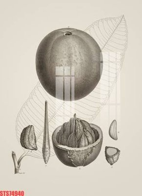 Chi tiết file tranh tráng gương Tranh sơn dầu phương tây tổng hợp STS74940 (ảnh gốc)