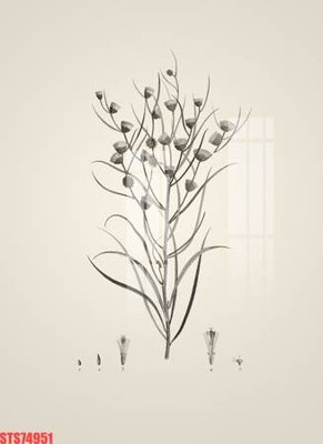 File tranh Tranh sơn dầu phương tây tổng hợp STS74951 (ảnh gốc) độ nét vượt trội