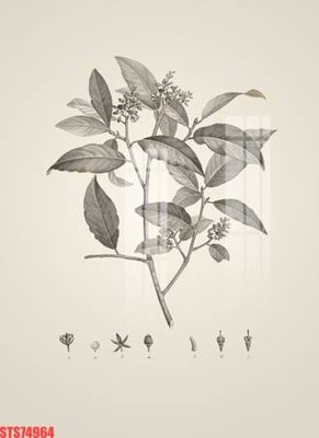 File gốc Tranh sơn dầu phương tây tổng hợp STS74964 (ảnh chi tiết) để in lụa