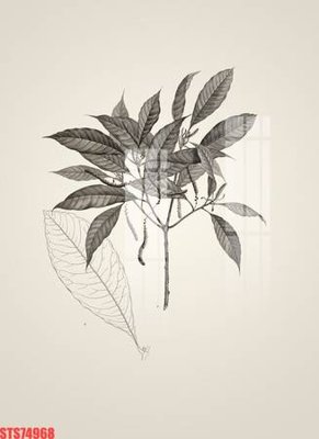 File PSD Tranh sơn dầu phương tây tổng hợp STS74968 (gốc) nhiều lớp (multi-layer)