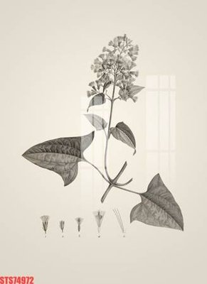 File in ấn Tranh sơn dầu phương tây tổng hợp STS74972 chuyên nghiệp