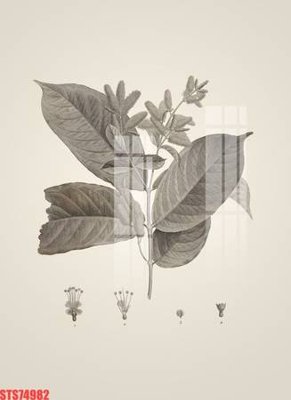 File ảnh Tranh sơn dầu phương tây tổng hợp STS74982 (gốc) in standee