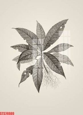 File in trần Tranh sơn dầu phương tây tổng hợp STS74989 (file gốc) phong thủy