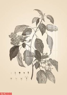 Tải file Tranh sơn dầu phương tây tổng hợp STS74990 (gốc) in trên mọi chất liệu