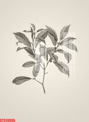 Ảnh gốc file in lụa Tranh sơn dầu phương tây tổng hợp STS74995 chi tiết