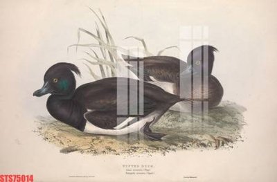 File ảnh Tranh sơn dầu phương tây tổng hợp STS75014 (gốc) in biển hiệu