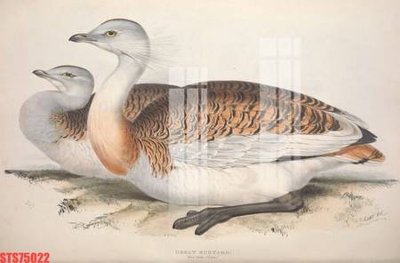 File tranh Tranh sơn dầu phương tây tổng hợp STS75022 (gốc) chủ đề tĩnh vật