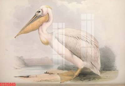 File gốc Tranh sơn dầu phương tây tổng hợp STS75045 (chuẩn CMYK) cho nhà in