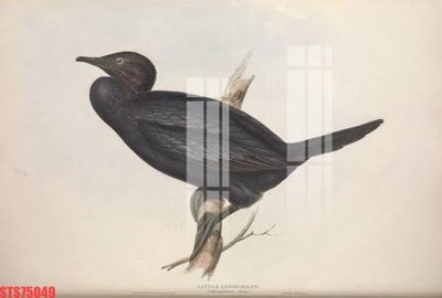 File PSD Tranh sơn dầu phương tây tổng hợp STS75049 (bản gốc) đã tách nền