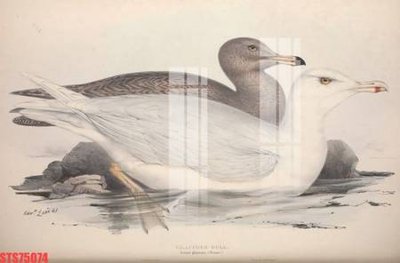 File gốc Tranh sơn dầu phương tây tổng hợp STS75074 (in mica) trang trí