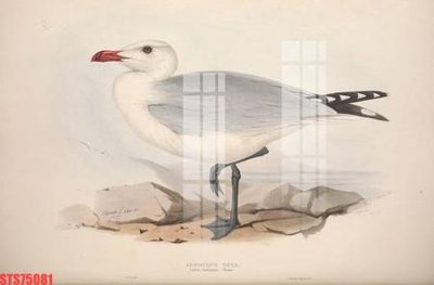 File gốc Tranh sơn dầu phương tây tổng hợp STS75081 (trang trí) phòng làm việc