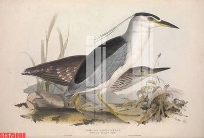 File tranh gốc Tranh sơn dầu phương tây tổng hợp STS75088 chủ đề hiện đại