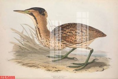 File PSD Tranh sơn dầu phương tây tổng hợp STS75099 (bản gốc) độ phân giải cao